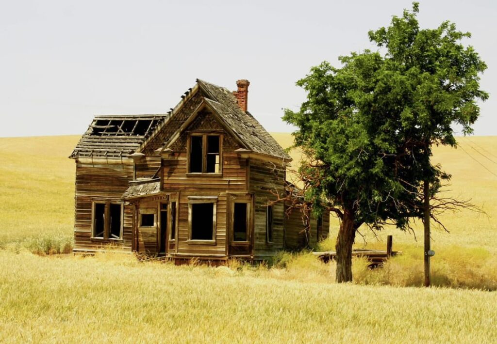 Petite maison en bois isolée dans un champs