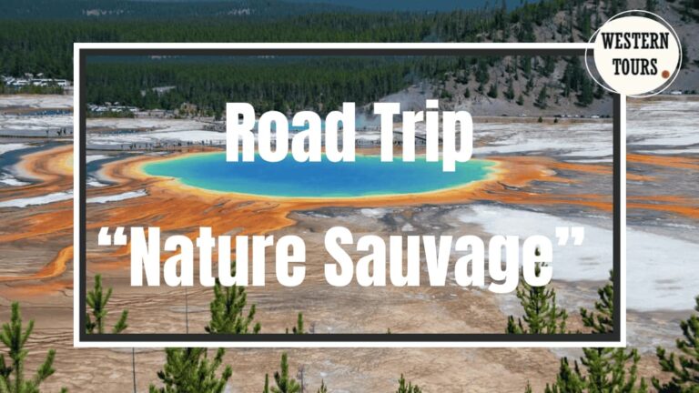 Road Trip Nature sauvage devant le grand prismatic de Yellowstone